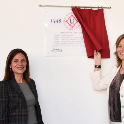 337505505 619479480025907 3337887751861384602 N